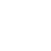 icons8-fast-delivery-100 (1)